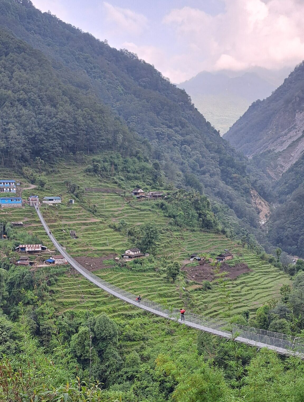 the iconic suspension bridge over Kimrong Khola, where emerald terraced fields, traditional mountain villages, and lush Himalayan forests showcase the timeless beauty of rural Nepal.