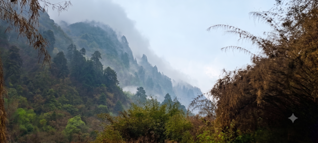 Misty forest and cloud-covered Himalayan hills along the Annapurna Base Camp Trek in Nepal.