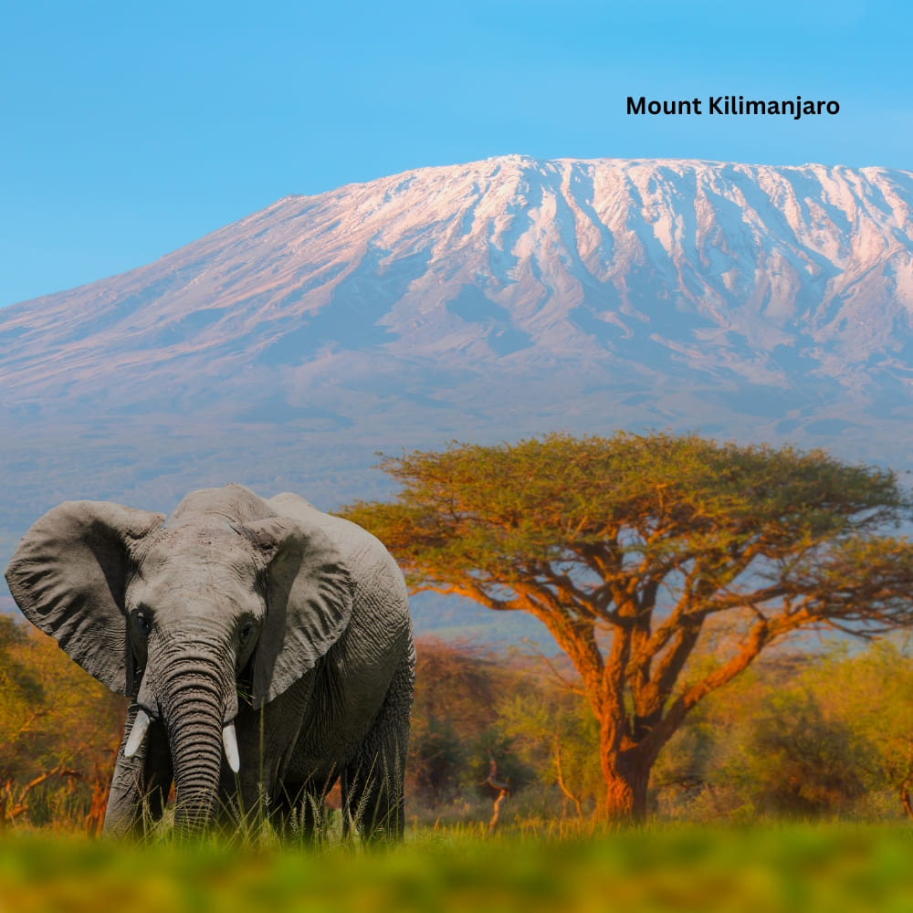kenya