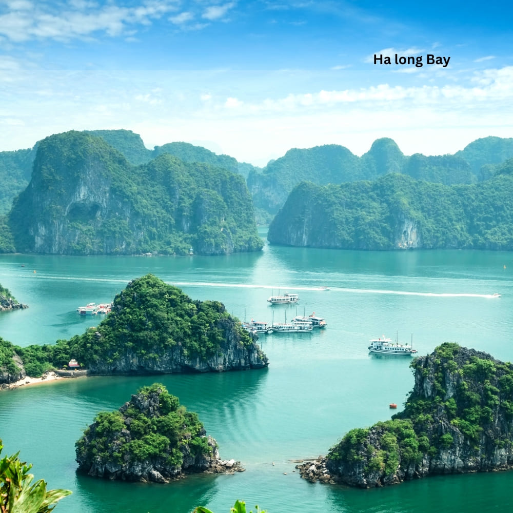 vietnam