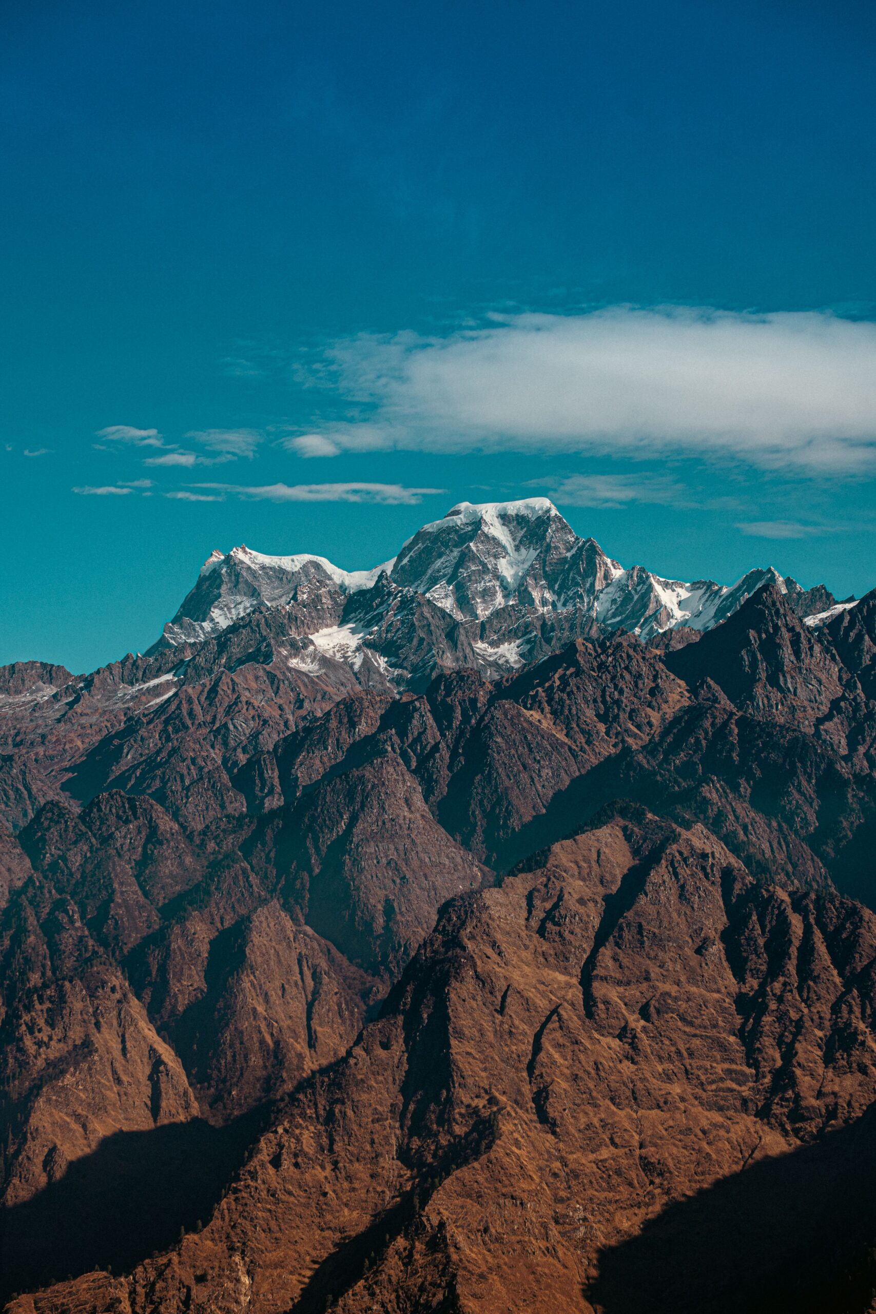 Auli