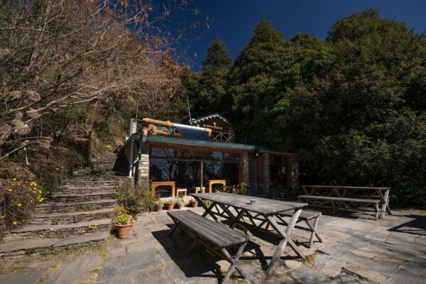 Binsar