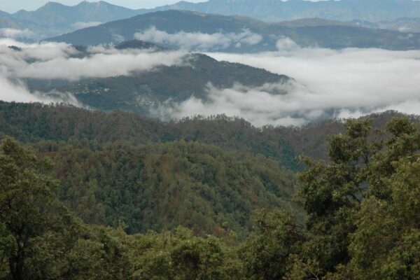 kumaon