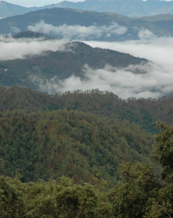 kumaon